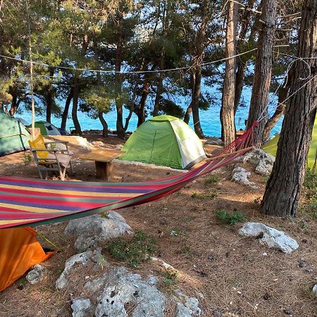 Готель Pine Side Camp Хімара Екстер'єр фото