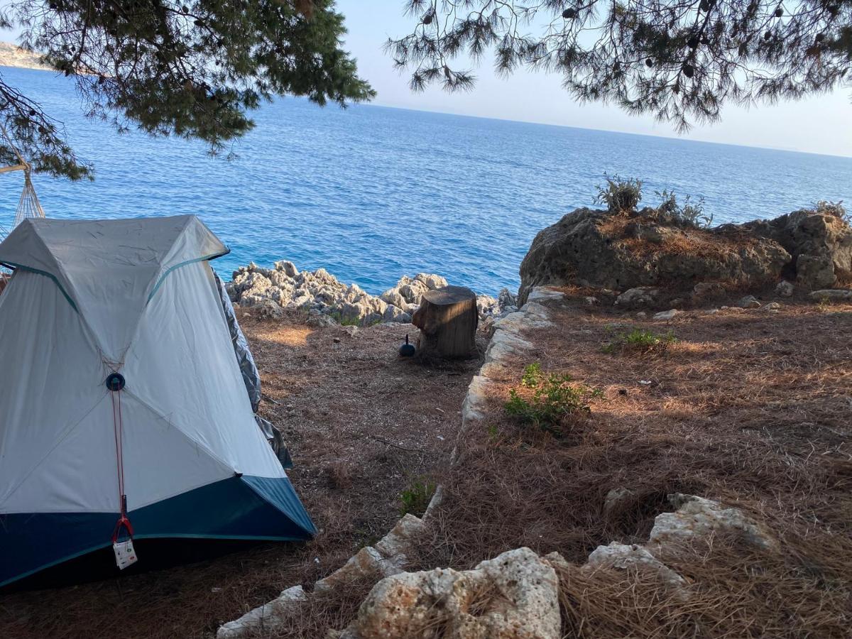 Готель Pine Side Camp Хімара Екстер'єр фото