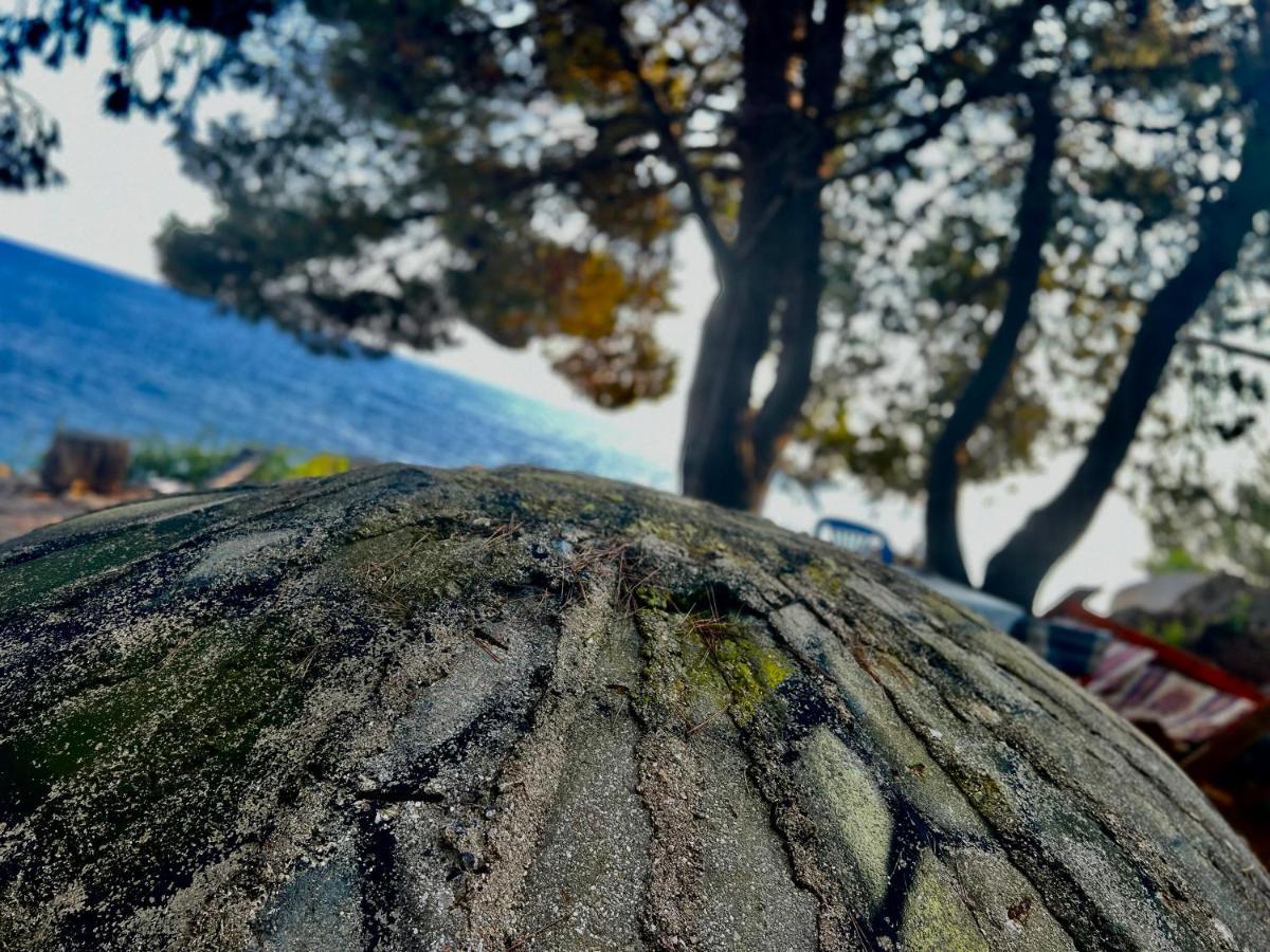 Готель Pine Side Camp Хімара Екстер'єр фото